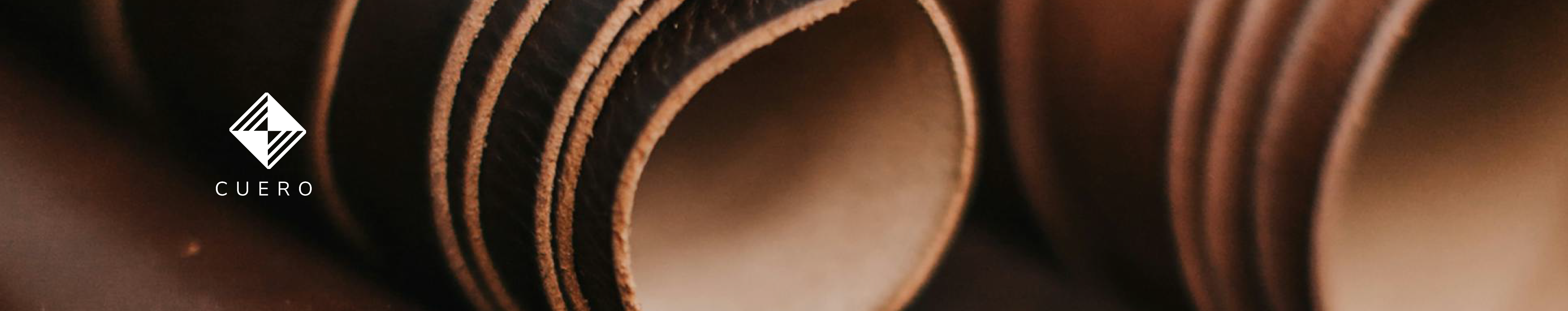 Banner_inferior_categorias_familia_olfativa_1938x258_perfulogic-03_3bc178ff-0429-41a0-81d9-d876ce93d2f3.png