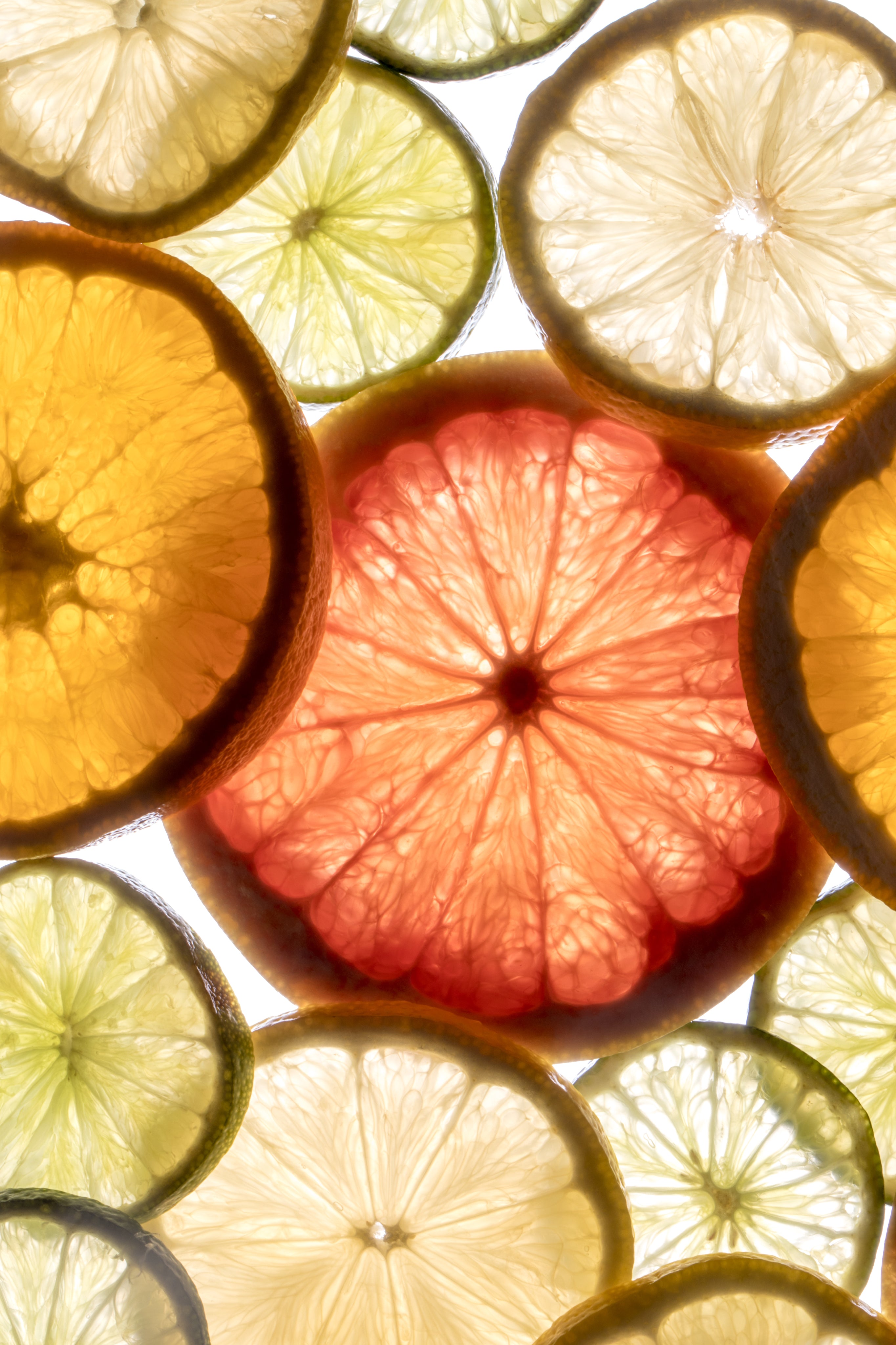 bright-light-through-citrus-slices.jpg